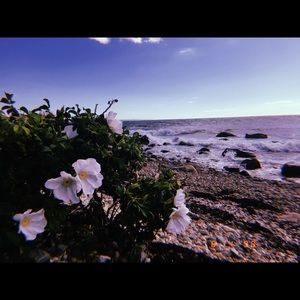 Meet your Posher, Kiara